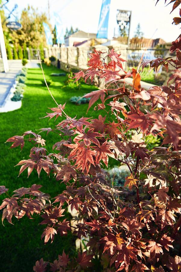 Boutique Hotel Casa Medievala 쿠티에데아게스 외부 사진